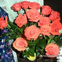 ���� �����, ���������, 64 ���� - ��������� 1 ������� 2016 � ������ ���� ����������