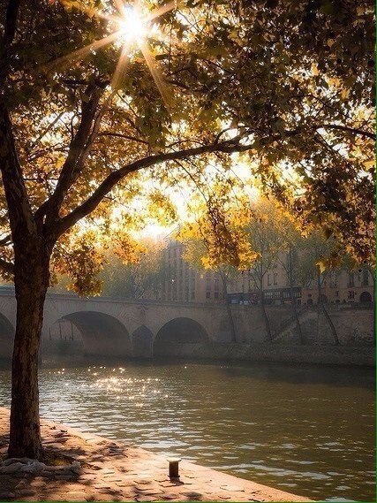 Оглянись вокруг, там столько всего, за что можно быть благодарным. #осень #благодарность #счастье ... - 3