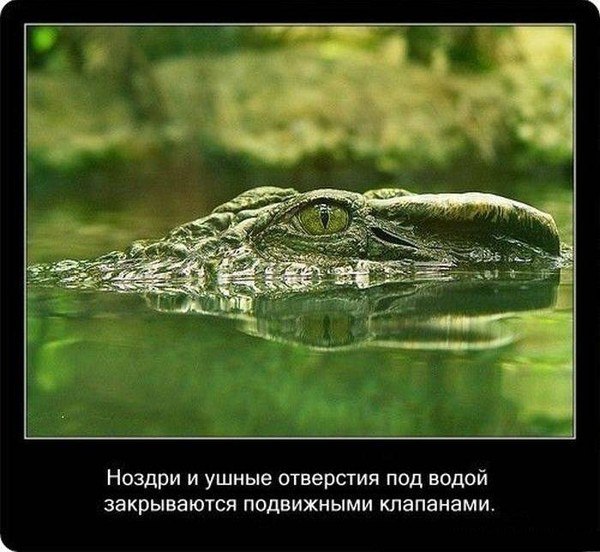    - 13