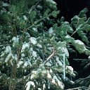 ���� Anna, ������������, 46 ��� - ��������� 22 ������� 2016 � ������ ���� ����������
