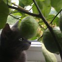 ���� ������, �����, 54 ���� - ��������� 3 ������ 2017