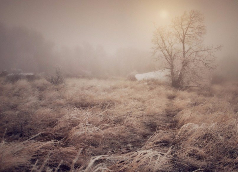Carpathians, Ukraine - 3
