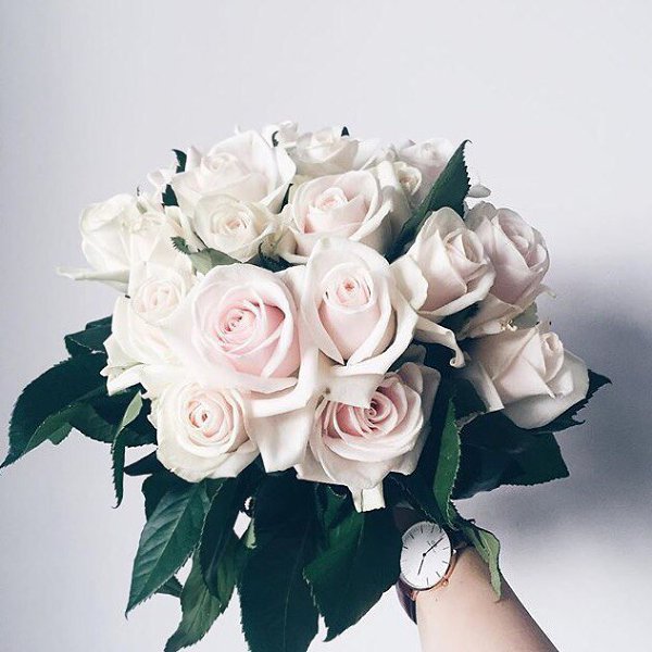 ����� ������� - 31 ������ 2017 � 01:07 - 8