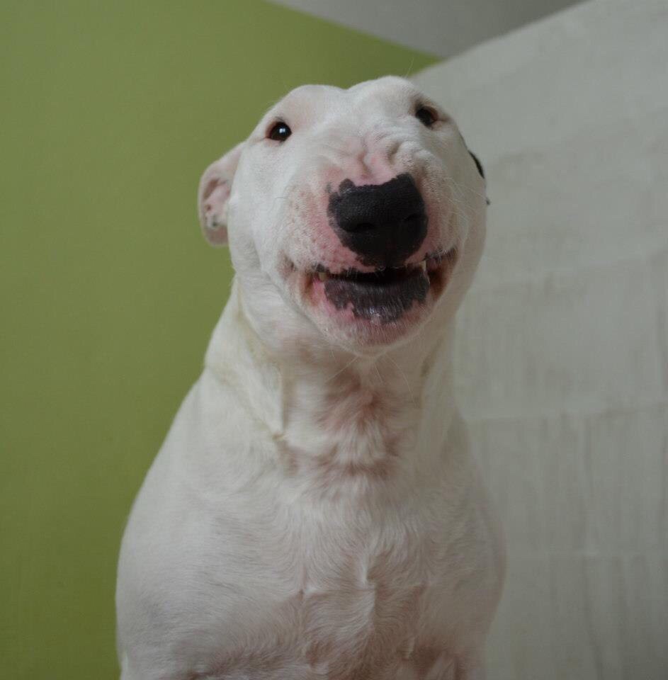 И снова понедельник