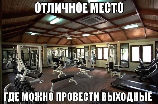  -  ,  ,  !!! - 31  2016  16:37