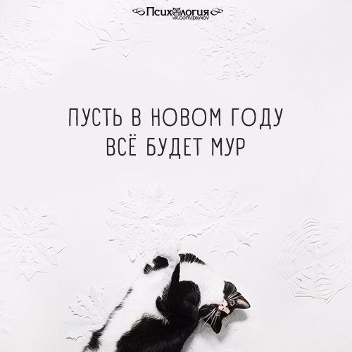  - 6  2017  06:39
