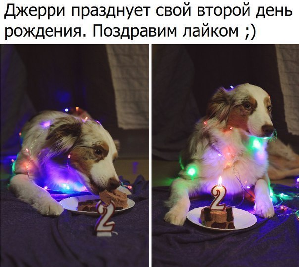  - 21  2017  21:04