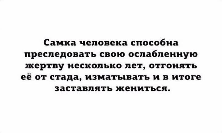 Alexandr - 11  2016  17:48 - 2