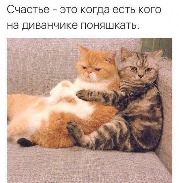 )))