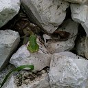 ���� ������, �����, 60 ��� - ��������� 28 �������� 2016 � ������ ���� ����������