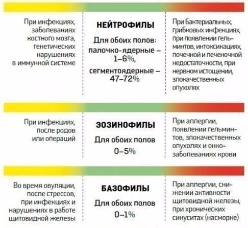     ? - 4