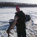 ���� �������, ������������, 50 ��� - ��������� 5 ����� 2017 � ������ ���� ����������