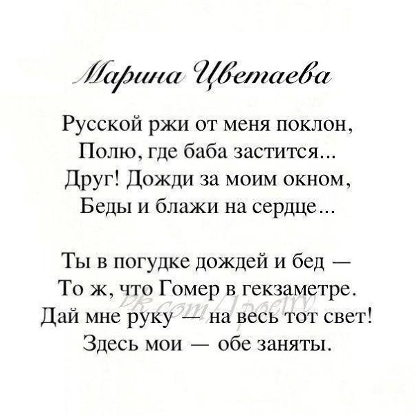     - 24  2016  20:31