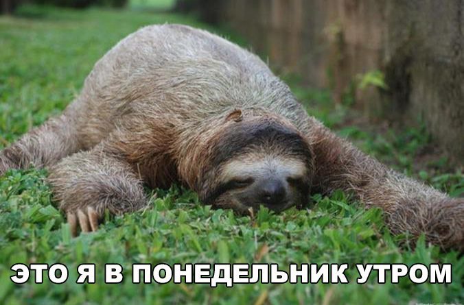    :D - 6  2016  12:12
