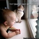 ���� �������, �������, 62 ���� - ��������� 26 ������ 2016 � ������ ���� ����������