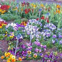 ���� Lana, ������, 54 ���� - ��������� 1 ������ 2017 � ������ �Mobile Uploads�