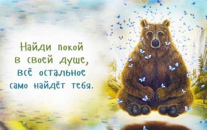   - 16  2016  19:59