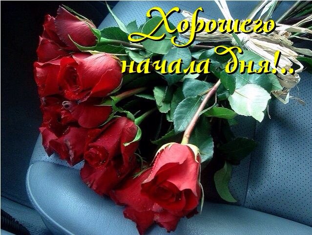 Где рождается нежность?!.Не знаю... В уголочках волнующих губ... На ресничках пушистых... В сиянии ...
