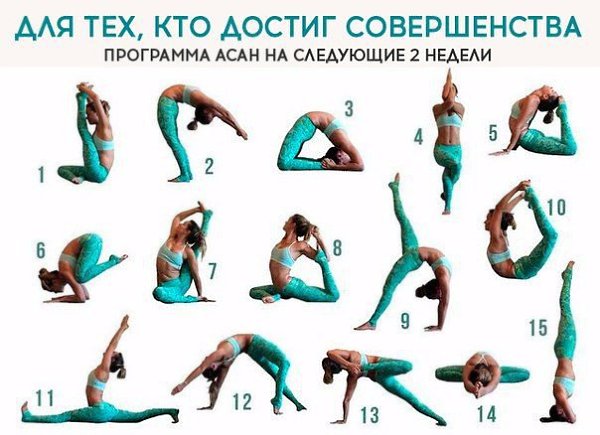  | Yoga - 8  2017  02:34