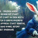 ���� ���������, ������, 59 ��� - ��������� 6 ������� 2017 � ������ ������ ��������