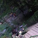 , , 37  -  12  2016   Mobile Uploads