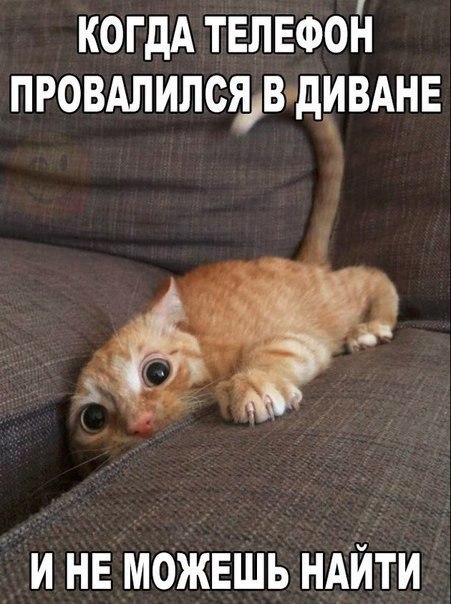     - 25  2016  11:57