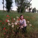 ���� ������, �������, 42 ���� - ��������� 20 ������ 2017 � ������ ���� ����������