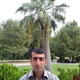  Sahin, , 46  -  15  2017