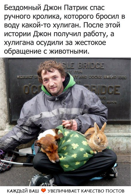   ()-------> - 3  2017  16:48