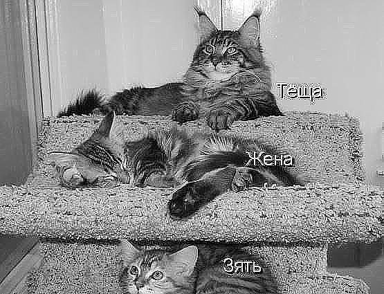   ....  ...))) - 2