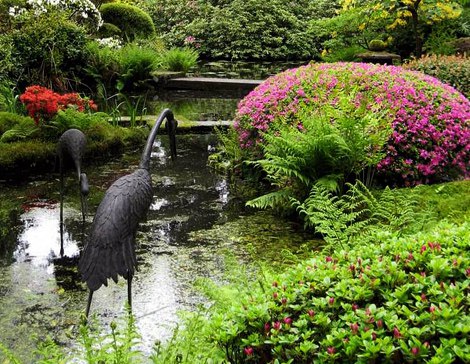 дизайн сада,дома и другое - 25 декабря 2016 в 20:32