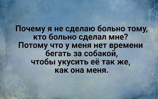 .Life.Is.Life. - 13  2016  11:39