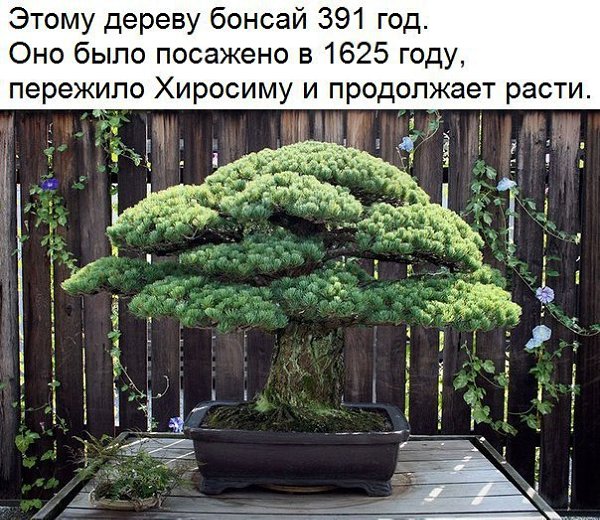  :    - 31  2016  13:32