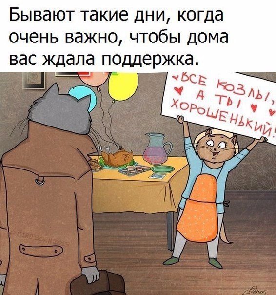  - 11  2017  13:03