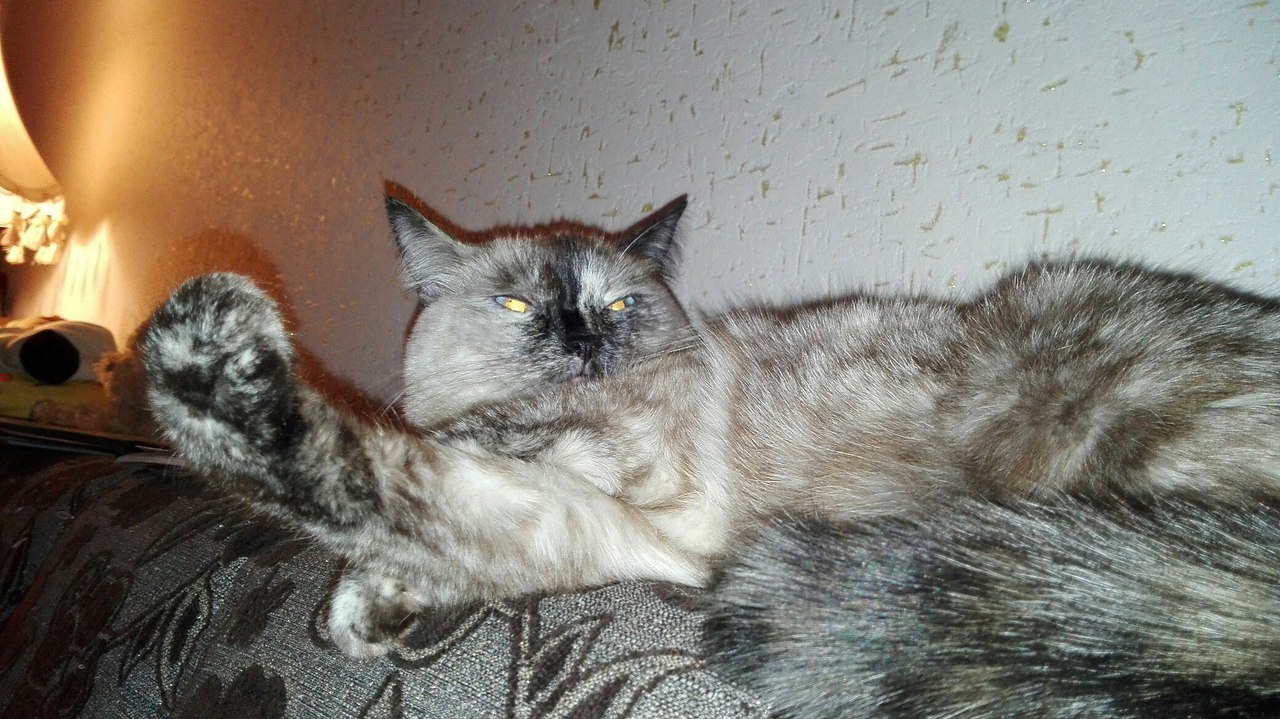 #_.     ,    ,   ... - 2