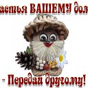 ���� ��������, ����-�� - ��������� 5 ������ 2016 � ������ ������ ��������