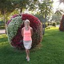 ���� � �, ���������, 44 ���� - ��������� 31 ������� 2016 � ������ ���� ����������