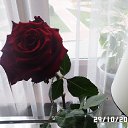 ���� �������, ����-����� - ��������� 5 ������ 2016 � ������ �������� ������