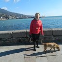  , , 73  -  26  2017     Ի