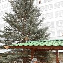 ���� ������, ��������� - ��������� 27 ������� 2016 � ������ ������ ��������