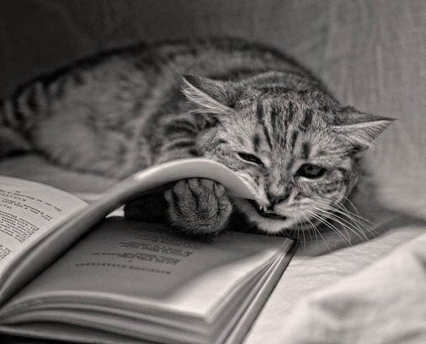 10 книг от депрессии! Сохраняйте 1. Братья Стругацкие - Понедельник начинается в субботу 2. Джон ...