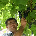 ���� ������, ���������� ����� - ��������� 11 ����� 2017 � ������ ���� ����������