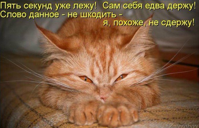       - 5  2017  13:47