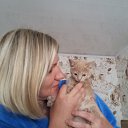 ���� ��������, ��������� - ��������� 8 ������ 2017 � ������ ���� ����������