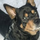 ���� ����, �����-���������, 45 ��� - ��������� 11 ������� 2017 � ������ ������ ��������