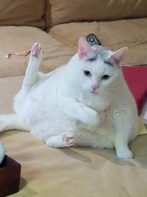     :