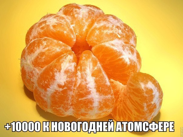   - 1  2016  23:58