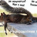 ���� ���������, ������, 52 ���� - ��������� 3 ������� 2016 � ������ ������ ��������