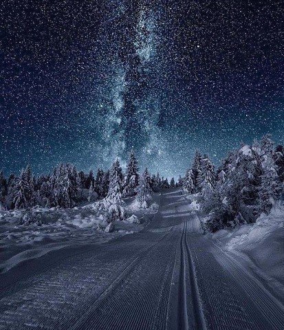 ������ ���� � �������.