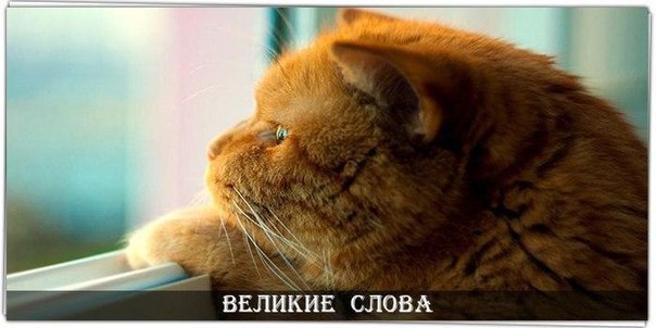  ,   -  .   -   ,  ...